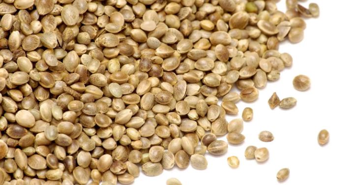 Hemp Seeds