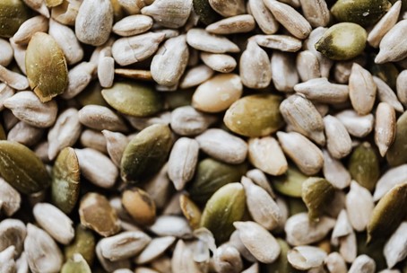 Read more about the article pumpkin seed nutrition