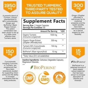 Turmeric and Ginger with BioPerine